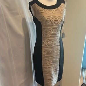 Valerie Bertinelli Black and Tan Mini Dress